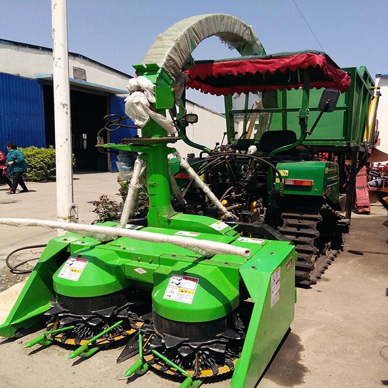 那些農民在夏季收獲的地方去了哪里？ 